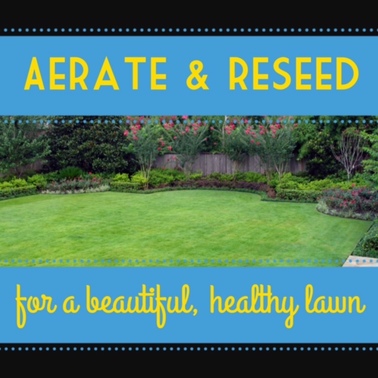 Aerate lawn